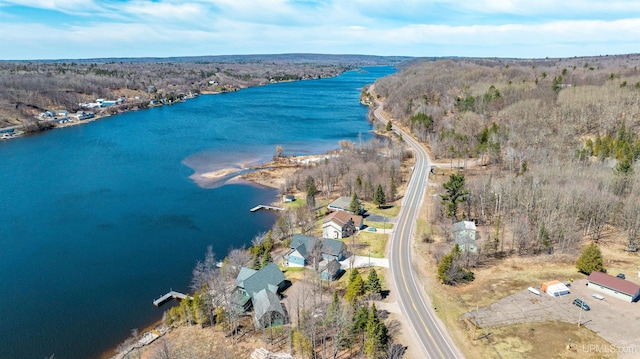 drone / aerial view featuring a water view and a forest view