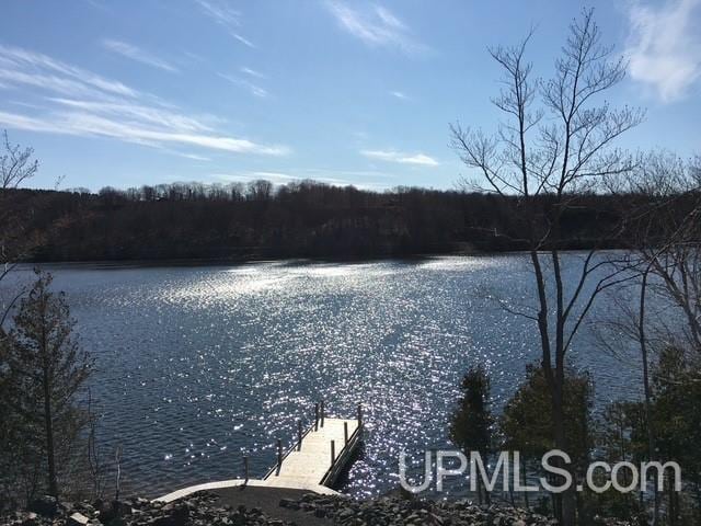 property view of water with a wooded view and a dock