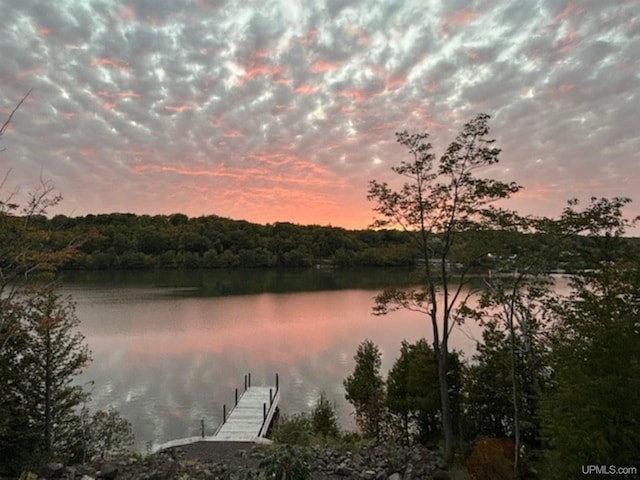 property view of water with a dock and a view of trees