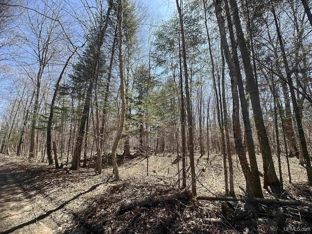 TBD 1st St, Manistique, MI 49854