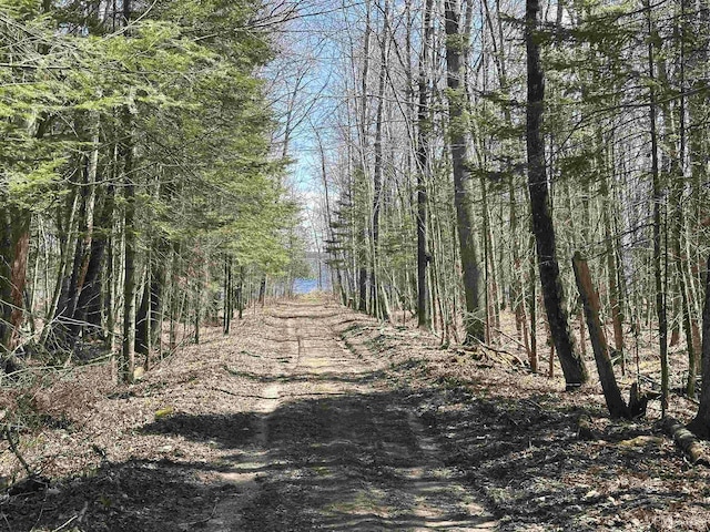TBD 1st St, Manistique, MI 49854