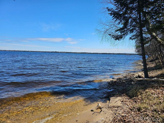 TBD 1st St, Manistique, MI 49854
