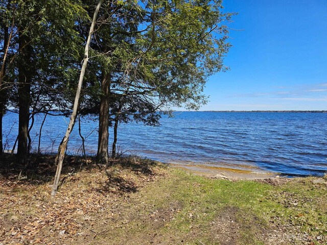 TBD 1st St, Manistique, MI 49854