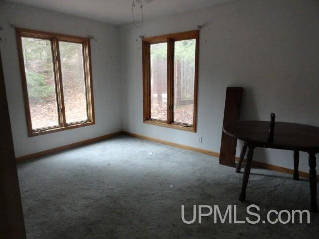 spare room featuring baseboards and carpet