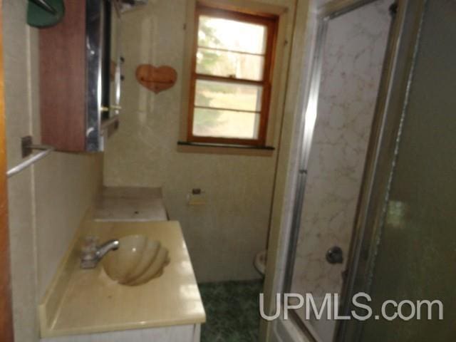 bathroom with vanity, toilet, and a shower stall