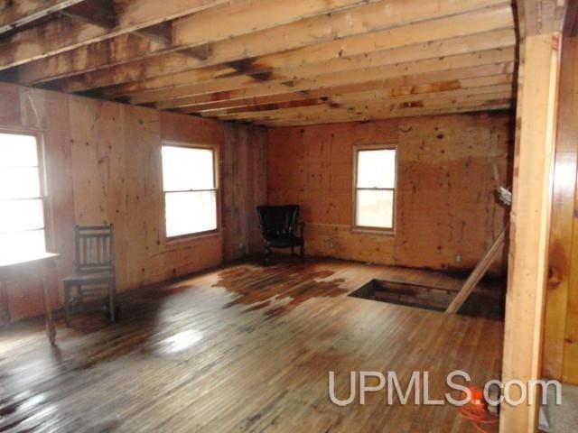 misc room with a wood stove, plenty of natural light, and wood finished floors