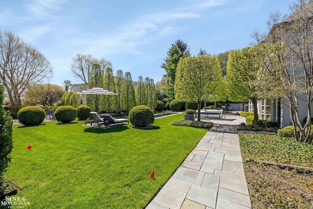 surrounding community with a lawn