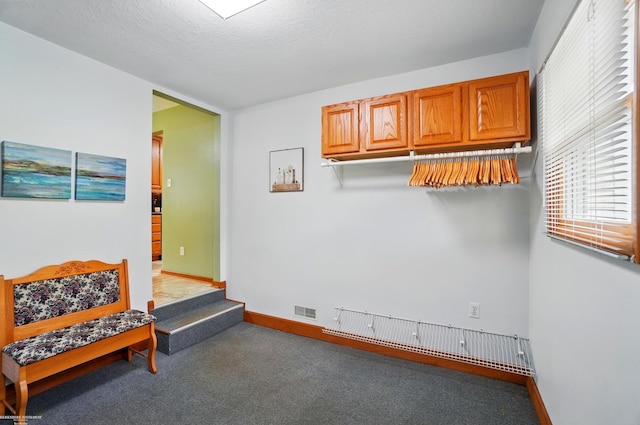 sitting room featuring visible vents, baseboards, and carpet floors