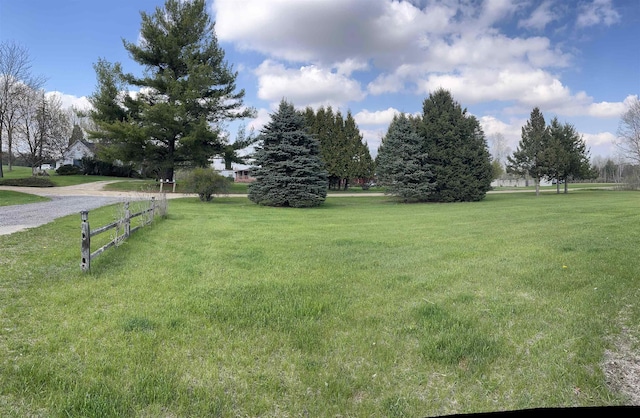 view of yard