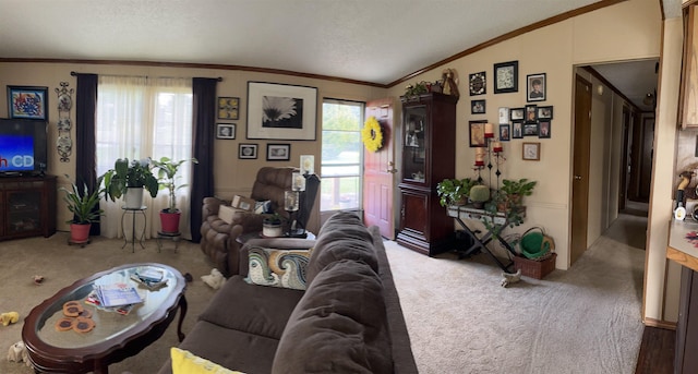 carpeted living area featuring a decorative wall, crown molding, a textured ceiling, and vaulted ceiling