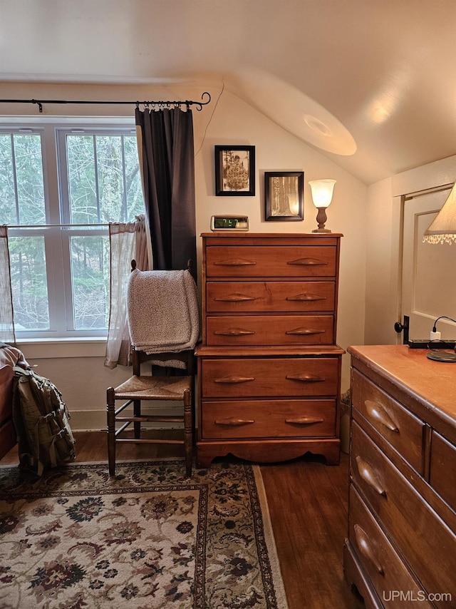 N15505 Black River Rd, Ironwood, MI 49938 - living area with dark wood finished floors and vaulted ceiling