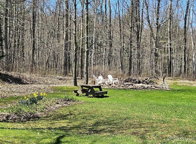 N15505 Black River Rd, Ironwood, MI 49938 - view of green lawn