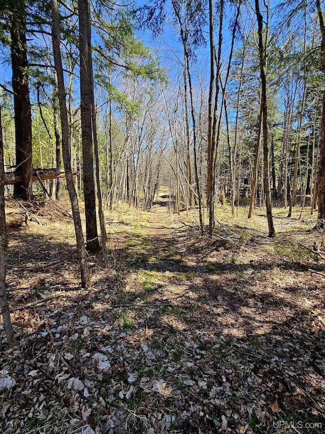 N15505 Black River Rd, Ironwood, MI 49938 - view of yard