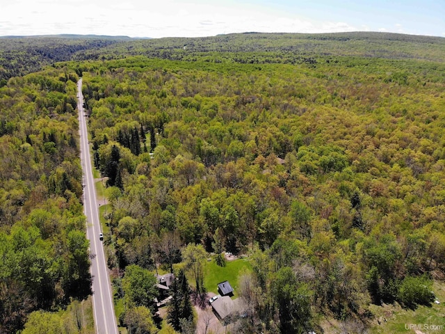 N15505 Black River Rd, Ironwood, MI 49938 - bird's eye view of a heavily wooded area