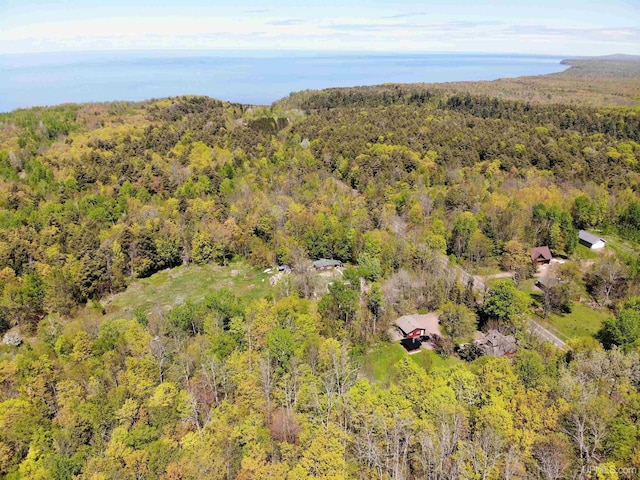 N15505 Black River Rd, Ironwood, MI 49938 - bird's eye view of a forest