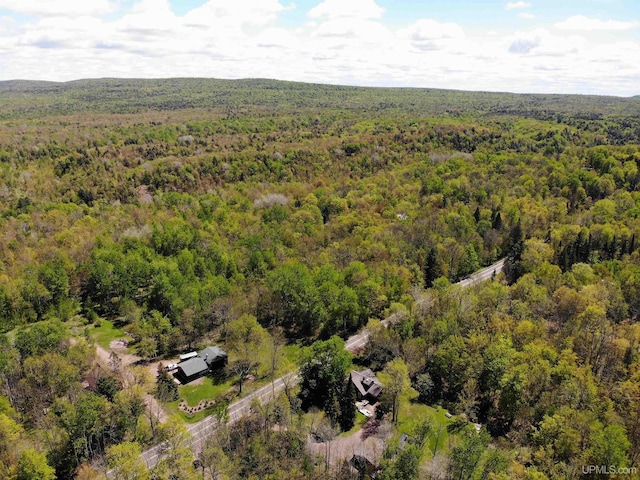 N15505 Black River Rd, Ironwood, MI 49938 - drone / aerial view of a forest