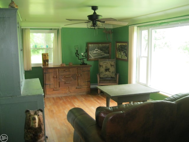 living room featuring plenty of natural light, light wood finished floors, a ceiling fan, and baseboard heating