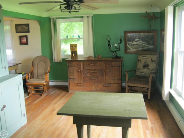 living area with a ceiling fan, a baseboard radiator, plenty of natural light, and wood finished floors