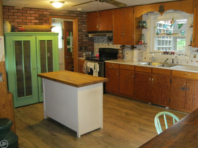 kitchen featuring butcher block countertops, under cabinet range hood, stainless steel range with electric cooktop, wood finished floors, and a sink