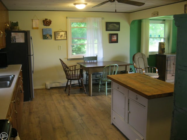 kitchen featuring butcher block counters, light wood-style flooring, and healthy amount of natural light