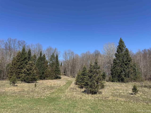 180 Wpa Rd, Crystal Falls, MI 49920 - view of wooded area