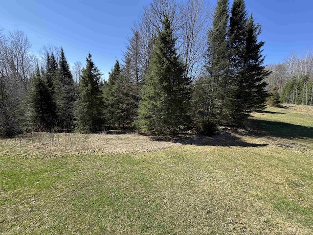 180 Wpa Rd, Crystal Falls, MI 49920 - view of grassy yard featuring a view of trees