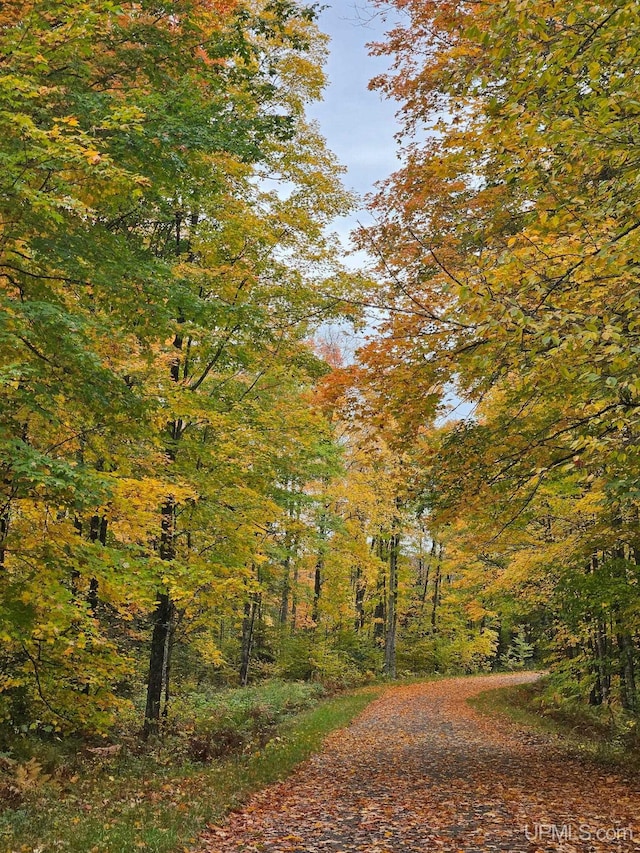 180 Wpa Rd, Crystal Falls, MI 49920 - view of road featuring a view of trees