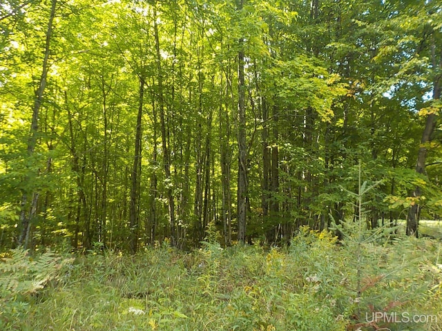 180 Wpa Rd, Crystal Falls, MI 49920 - view of woods