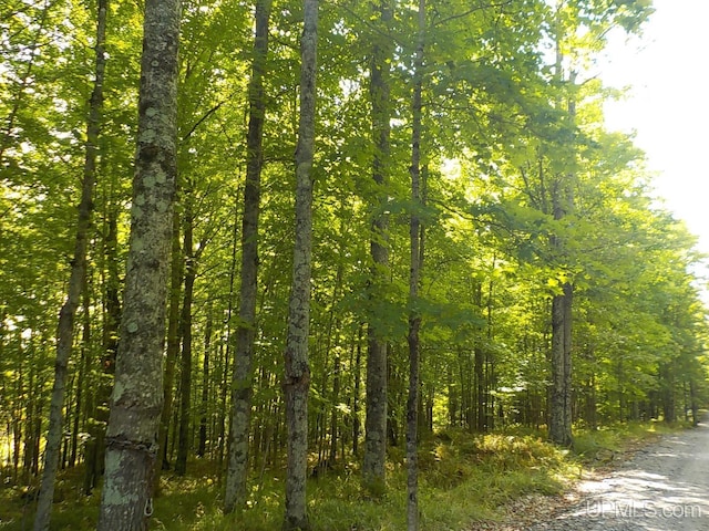 180 Wpa Rd, Crystal Falls, MI 49920 - view of woods