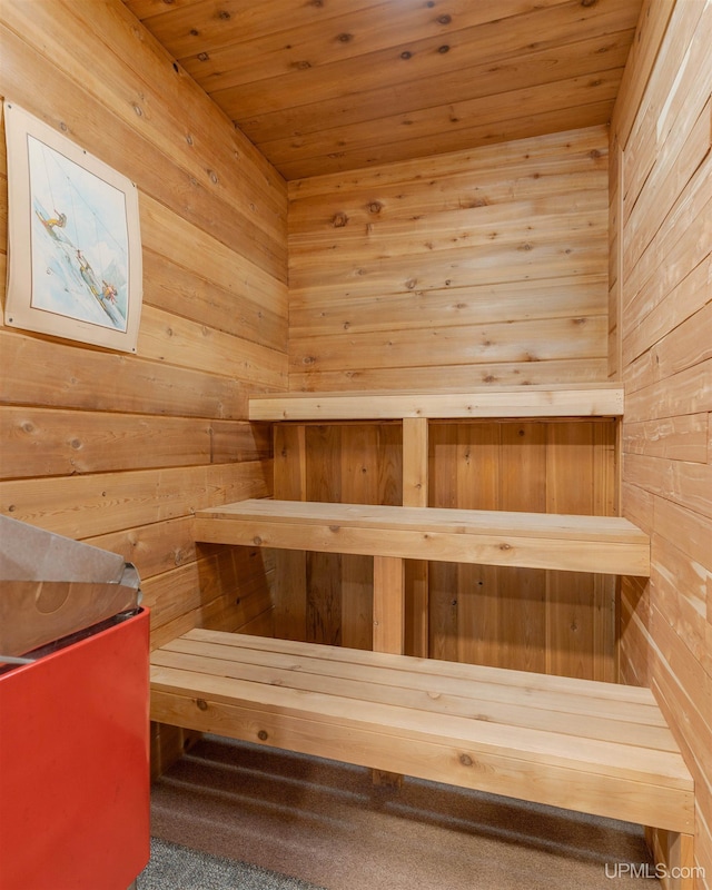 112 Little Deer Rd, Iron River, MI 49935 - relaxing sauna / steam room featuring wood walls and wood ceiling