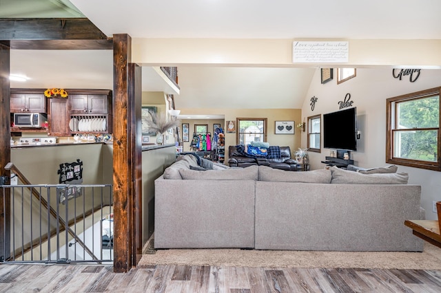 living area with wood finished floors and lofted ceiling