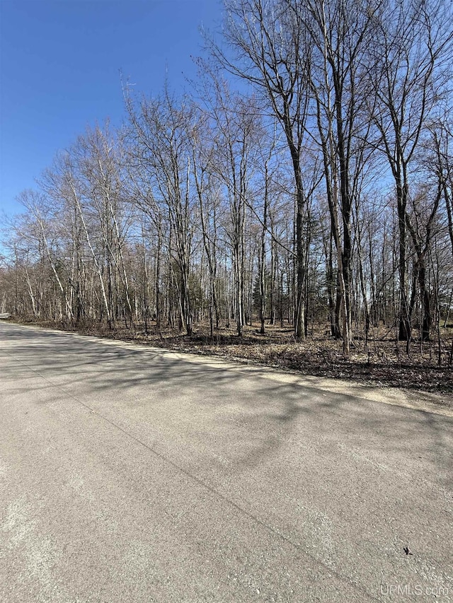 1.43ACRES Bolitho Dr, Manistique, MI 49854