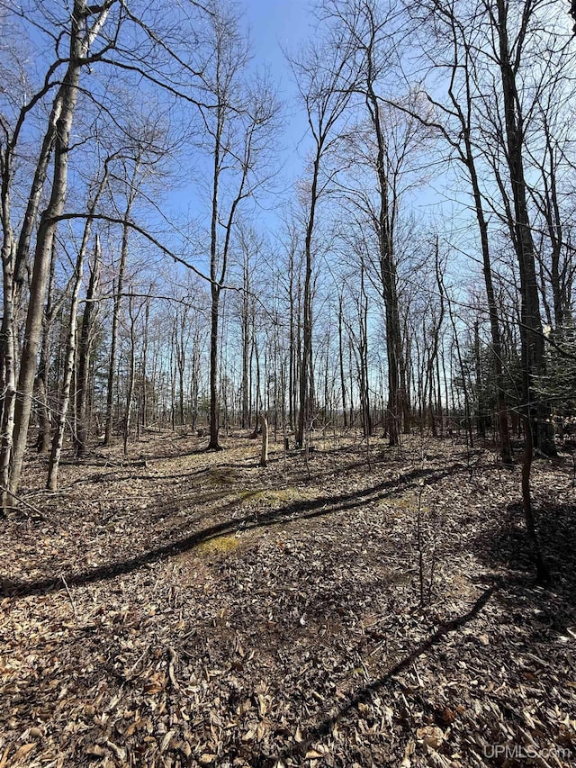 1.43ACRES Bolitho Dr, Manistique, MI 49854
