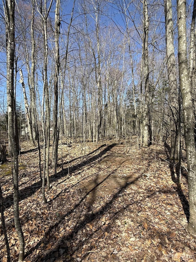 1.43ACRES Bolitho Dr, Manistique, MI 49854