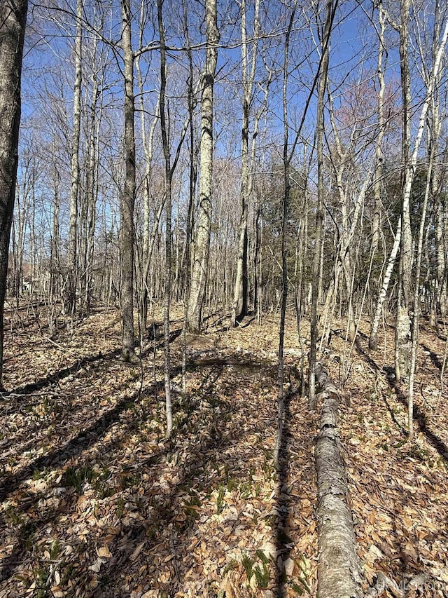 1.43ACRES Bolitho Dr, Manistique, MI 49854