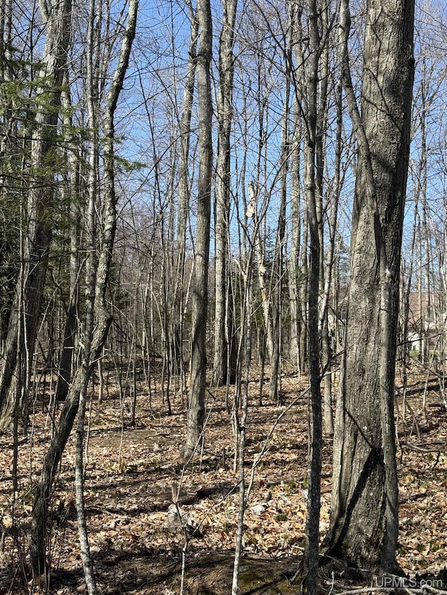 1.43ACRES Bolitho Dr, Manistique, MI 49854