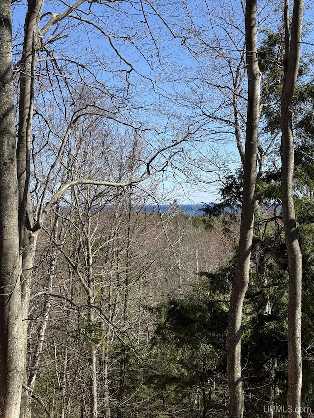 1.43ACRES Bolitho Dr, Manistique, MI 49854