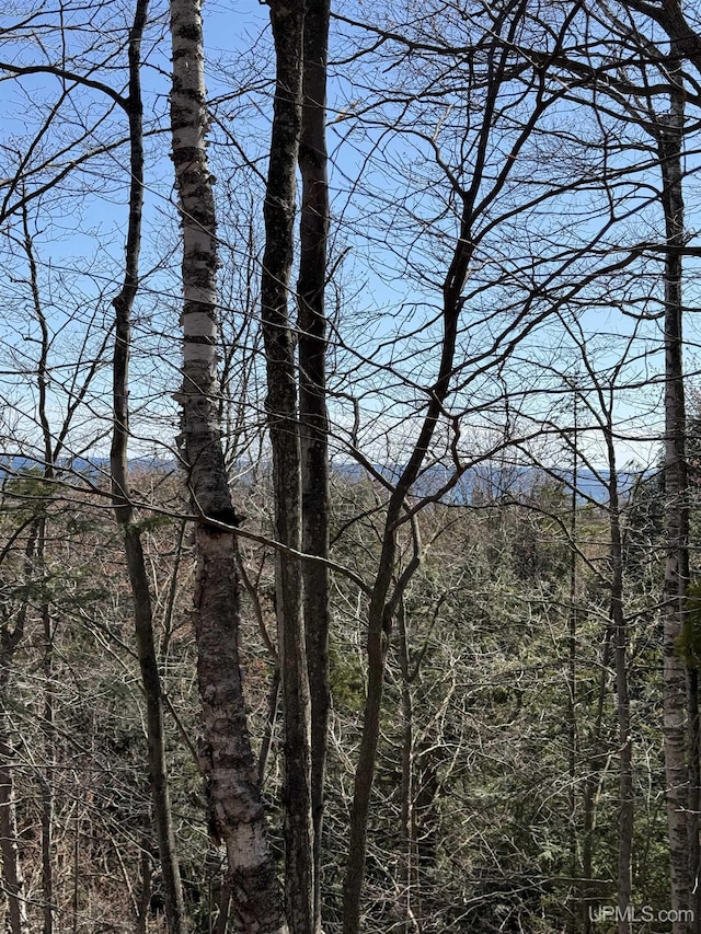 1.43ACRES Bolitho Dr, Manistique, MI 49854