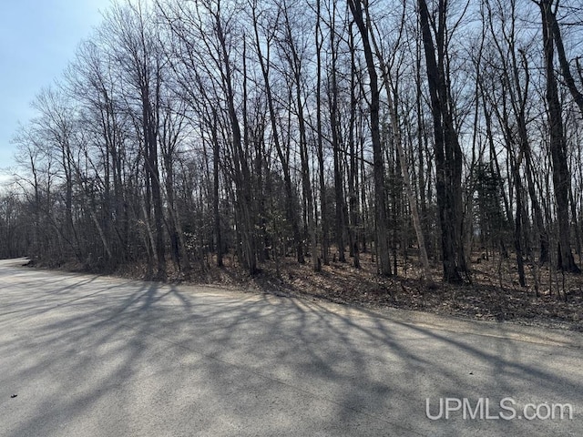 1.43ACRES Bolitho Dr, Manistique, MI 49854