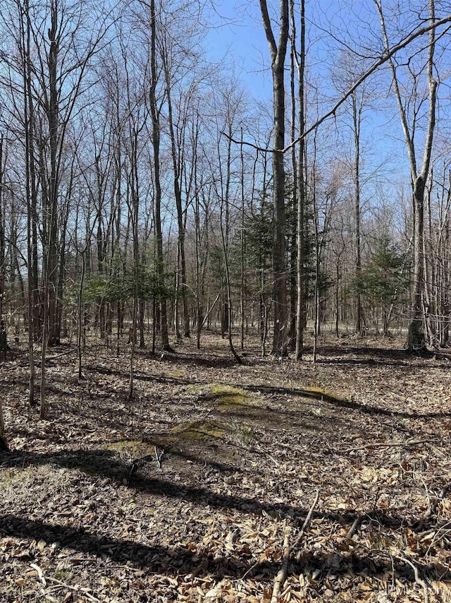1.43ACRES Bolitho Dr, Manistique, MI 49854