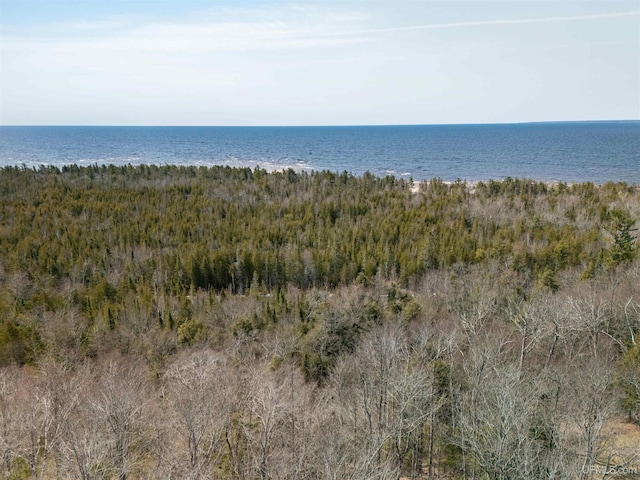1.43ACRES Bolitho Dr, Manistique, MI 49854