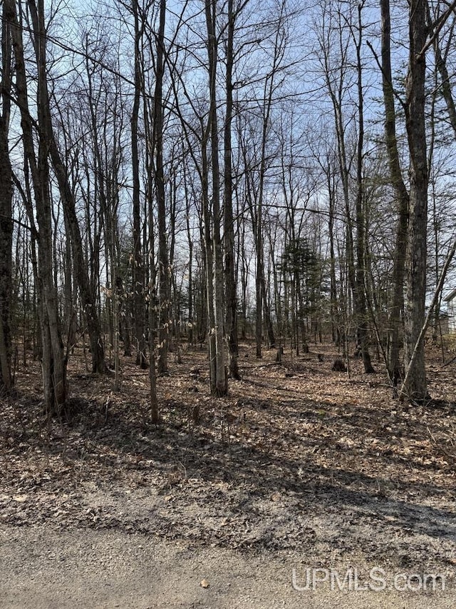 1.43ACRES Bolitho Dr, Manistique, MI 49854