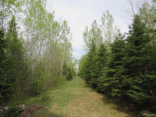 TBD US-2 Hwy, Marenisco, MI 49947