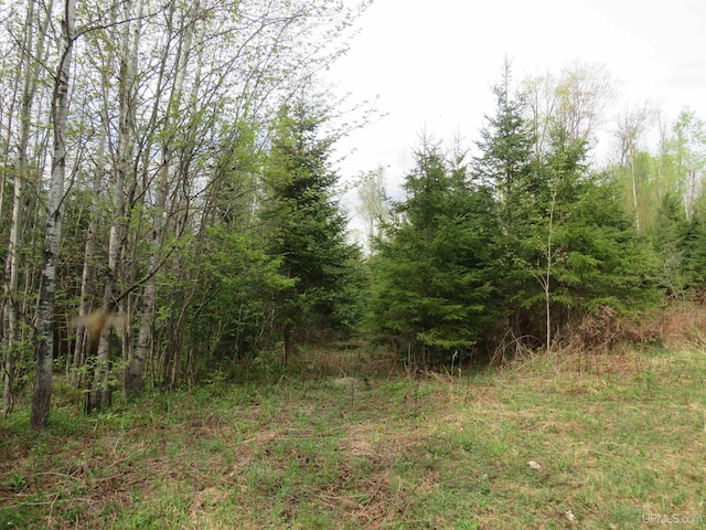 TBD US-2 Hwy, Marenisco, MI 49947