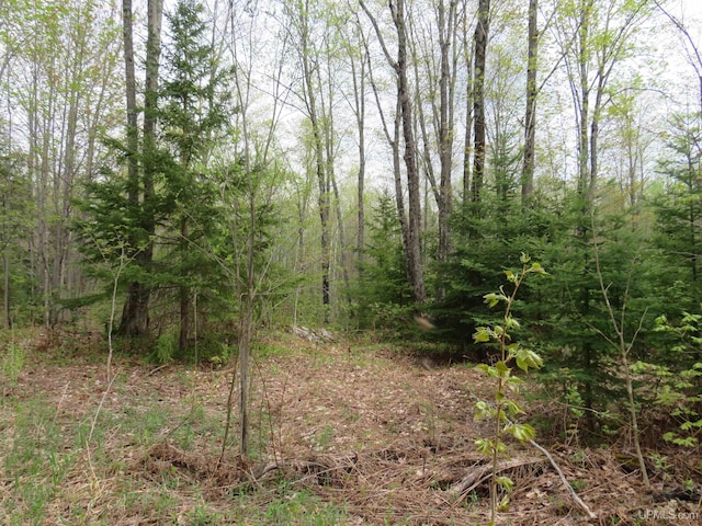 TBD US-2 Hwy, Marenisco, MI 49947