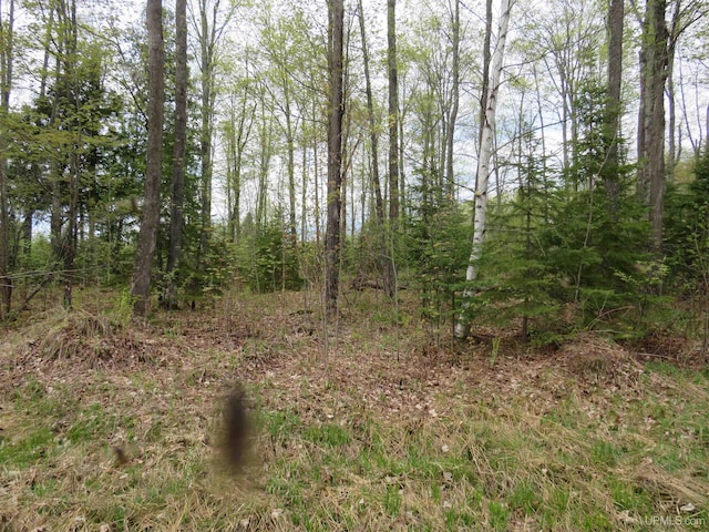 TBD US-2 Hwy, Marenisco, MI 49947
