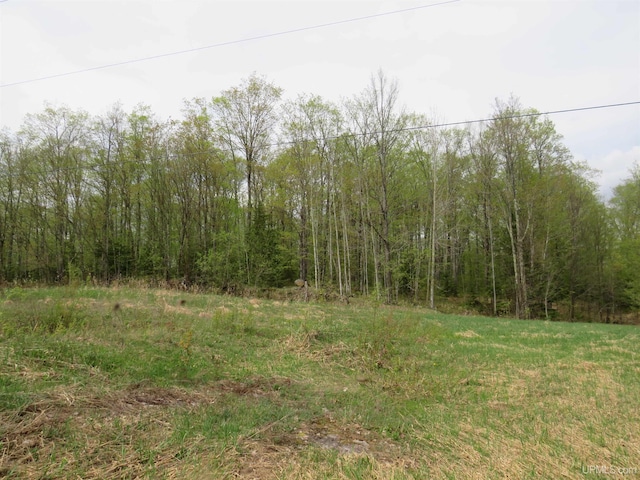 TBD US-2 Hwy, Marenisco, MI 49947