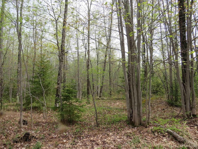 TBD US-2 Hwy, Marenisco, MI 49947