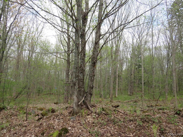 TBD US-2 Hwy, Marenisco, MI 49947
