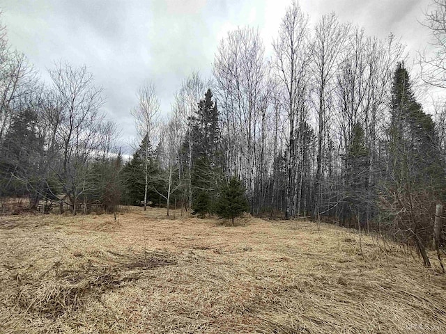 TBD US-2 Hwy, Marenisco, MI 49947